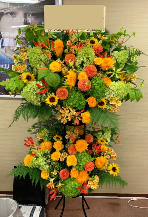 調布市日活スタジオ　新会社設立祝い　カラフルな２段のスタンド花